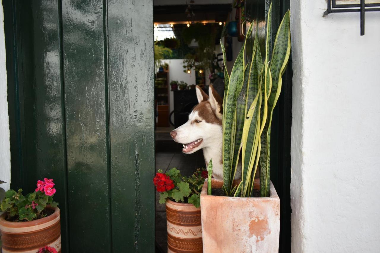 Hospedaje La Casa De Chavela Centro Historico Villa de Leyva Ngoại thất bức ảnh